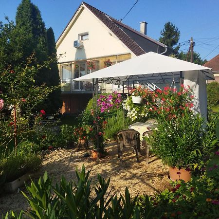 Apartmán Naszaly Kapuja Vendeghaz Kosd Exteriér fotografie